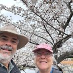  Ueno Park, Tokyo, Japan.1